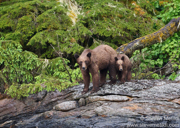 BRITISH COLUMBIA 2022