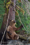 BRITISH COLUMBIA 2022