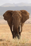 NORTHERN KENYA