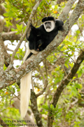 NORTHERN KENYA