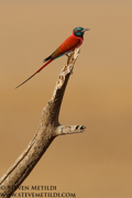 NORTHERN KENYA