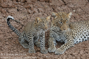 NORTHERN KENYA
