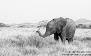 NORTHERN KENYA CLASSIC