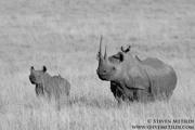 NORTHERN KENYA CLASSIC