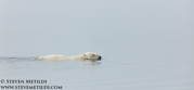 SVALBARD AND THE NORWEGIAN COAST