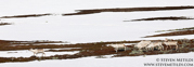 SVALBARD AND THE NORWEGIAN COAST