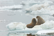 SVALBARD AND THE NORWEGIAN COAST