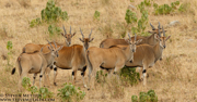 TANZANIA