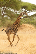 TANZANIA