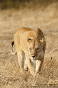 TANZANIA
